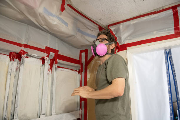 Best Mold Damage Restoration  in Pleasant Valley, WV