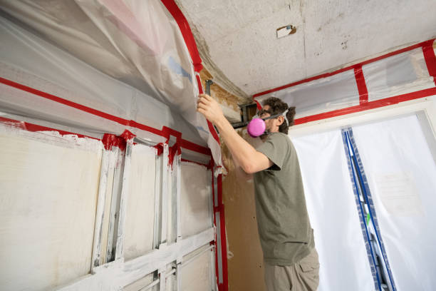 Best Commercial Mold Inspection  in Pleasant Valley, WV